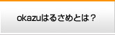 okazuはるさめとは？