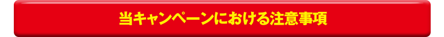 当キャンペーンにおける注意事項