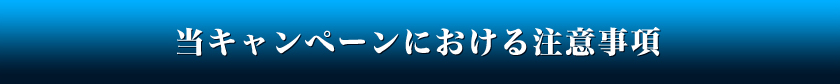 キャンペーンにおける注意事項