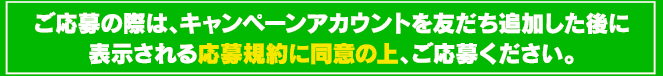 ご応募の際は、キャンペーンアカウントを友だち追加した後に表示される応募規約に同意の上、ご応募ください。