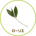 ローリエ