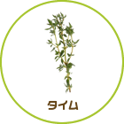 タイム