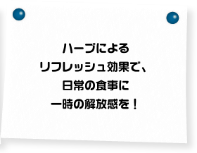 ハーブによるリフレッシュ効果で、日常の食事に一時の解放感を！