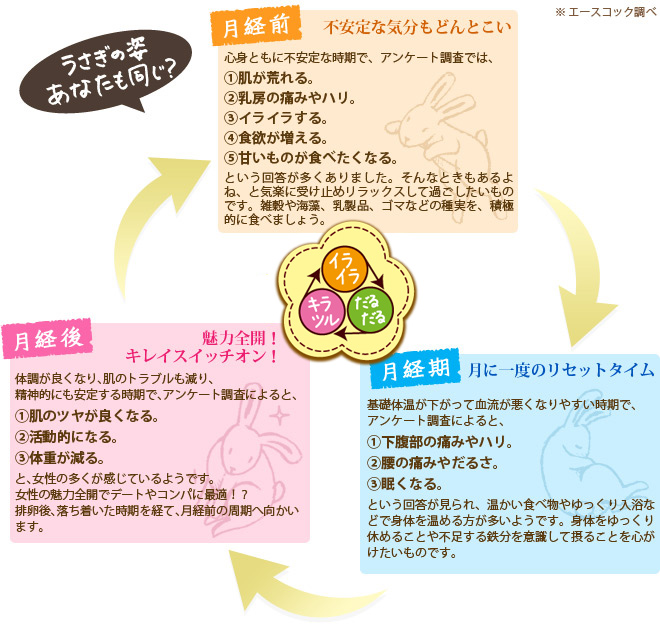 女性のからだとココロのバランスを3つに分け、サイクルで表しました。