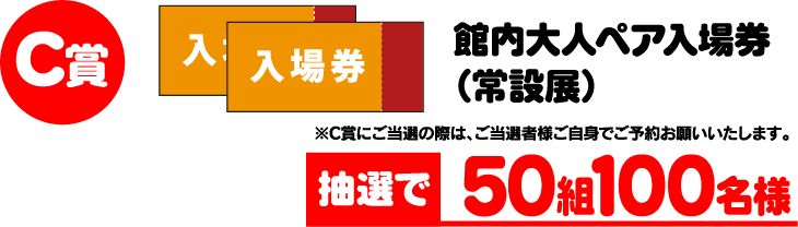 C賞 館内大人ペア入場券（常設展） 抽選で50組100名様 ※C賞にご当選の際は、ご当選者様ご自身でご予約お願いいたします。