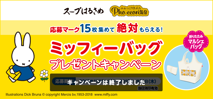 応募マーク15枚集めて絶対もらえる！ミッフィーバッグプレゼントキャンペーン キャンペーンは終了しました